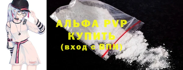 PSILOCYBIN Аркадак